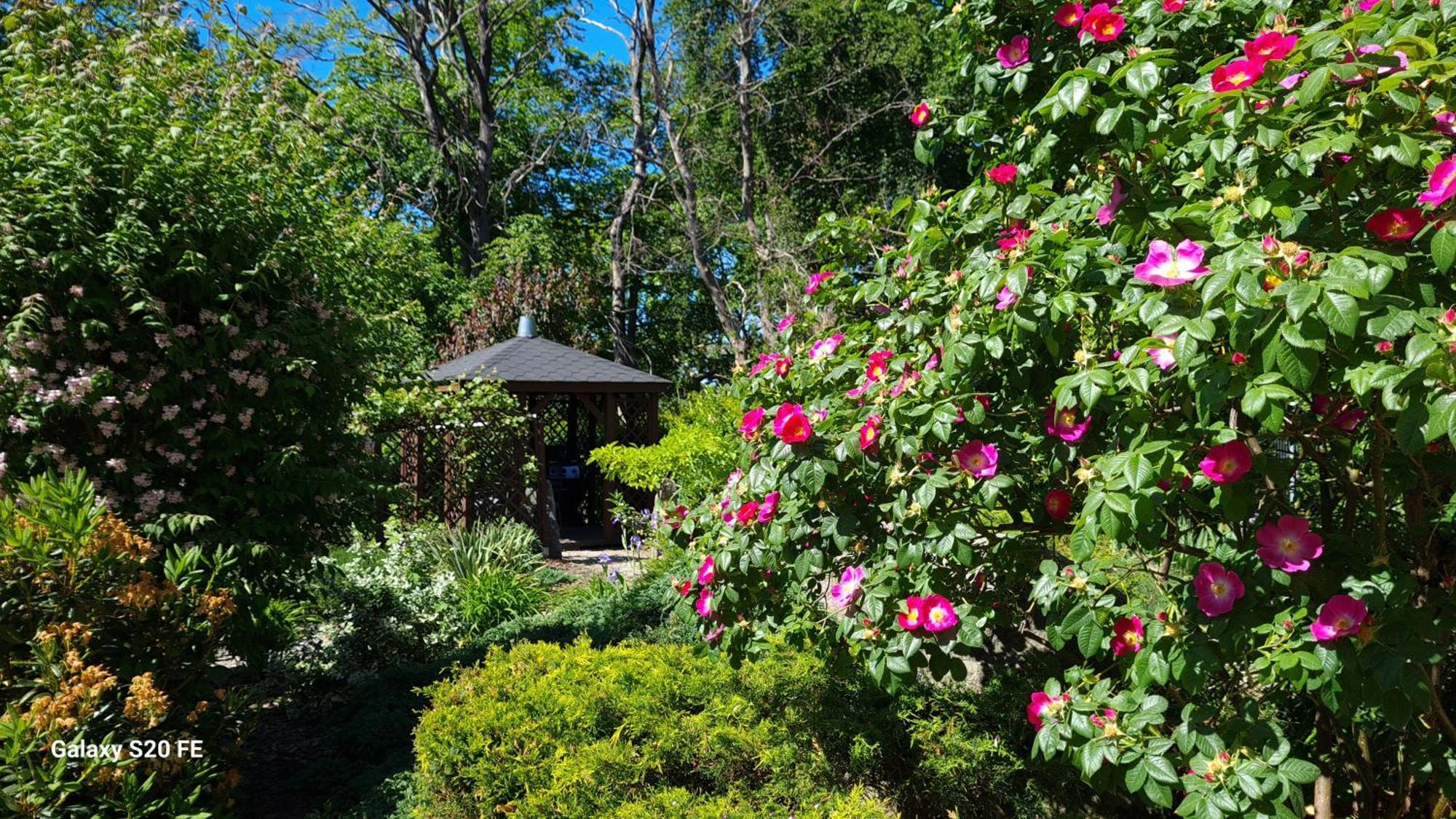 Dom Na Bukowym Wzgorzu Bed & Breakfast Wicko  Exterior photo